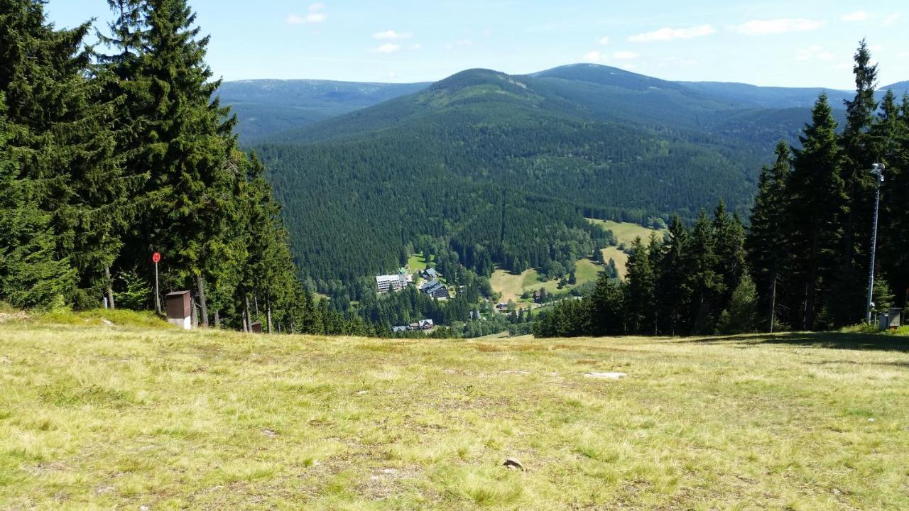 Ph - Ryzoviste